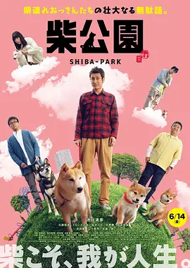 99久久精品国产综合一区