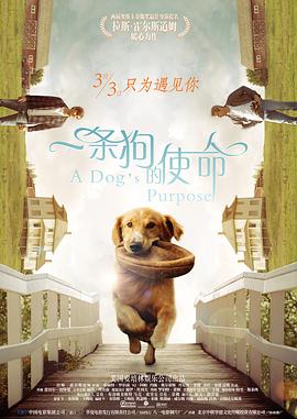 前辈的手上走了的妻子