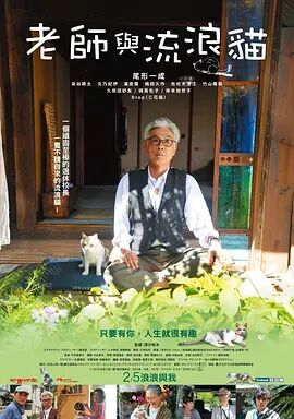 免费seo网站自动推广