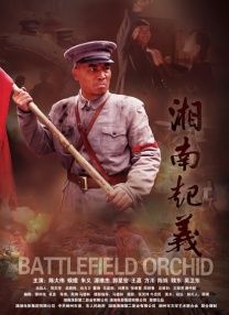 久久综合九九