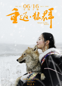 伊人影音